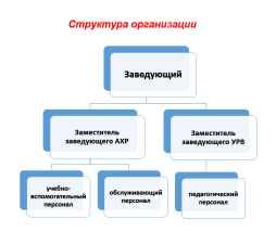 Структура организации